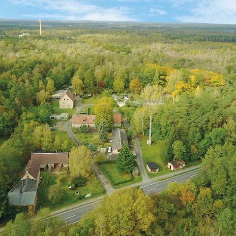 Die Siedlung Alwine in Brandenburg liegt mitten in einem Waldstück