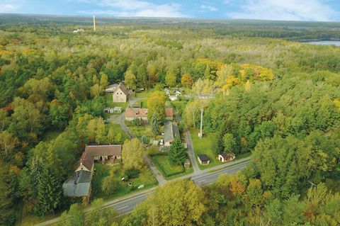 Die Siedlung Alwine in Brandenburg liegt mitten in einem Waldstück