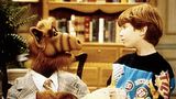 Alf