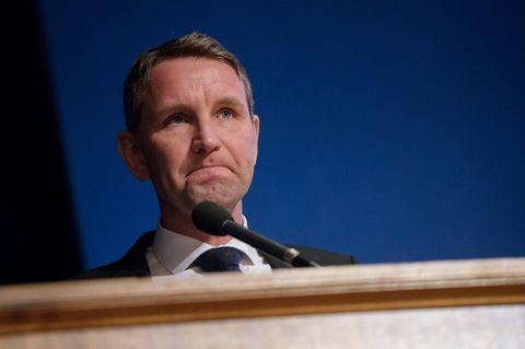 Der AfD-Politiker fühlt sich von der Künstlern bedrängt und gestalkt und bezeichnet sie als "Terroristen"