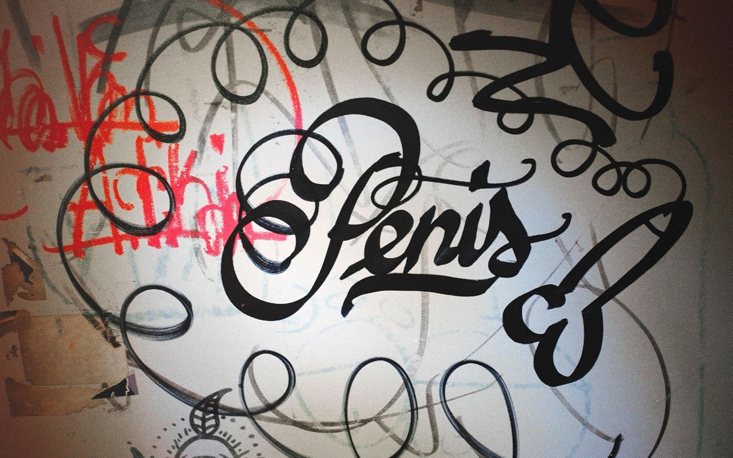 Das Wort "Penis" geschrieben, daneben ein Abbild davon