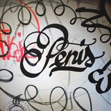 Das Wort "Penis" geschrieben, daneben ein Abbild davon