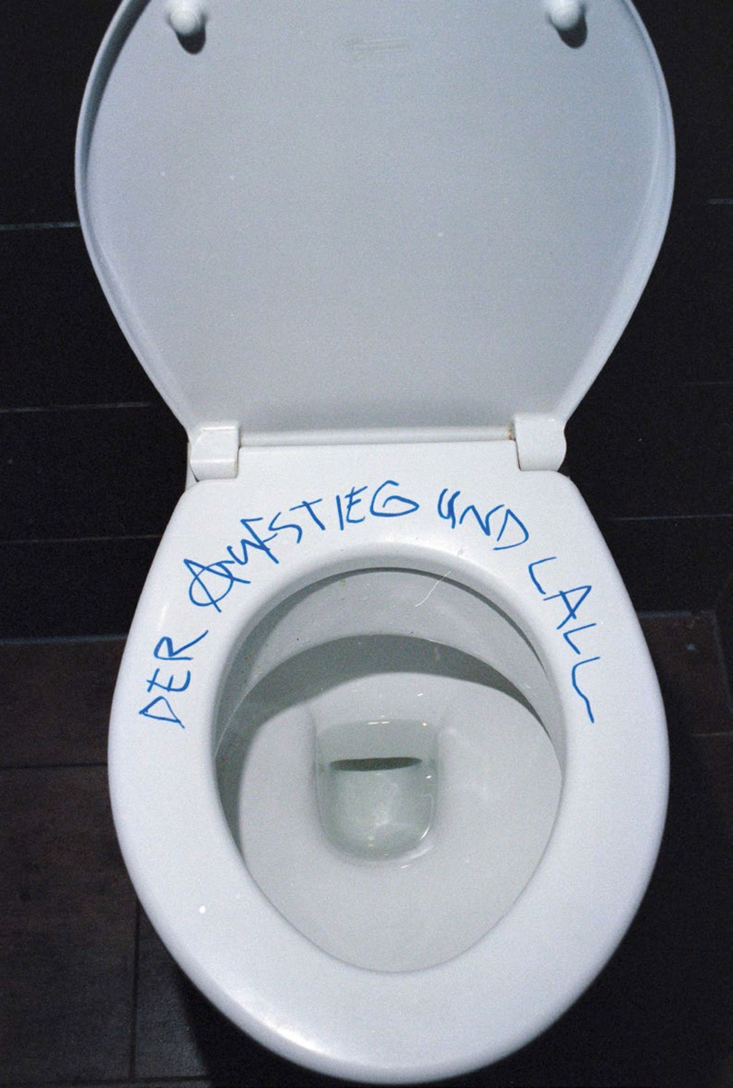 Eine Toilettenbrille mit den Worten "Der Aufstieg und Lall"