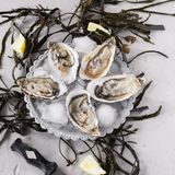 Austern  Es existieren sehr viele Austernsorten – kulinarisch interessant sind jedoch die wenigsten von ihnen. Asiatische Länder produzieren den größten Teil der weltweit verzehrten Austern, bei uns in Deutschland kommen vor allem Austern aus französischen Aquakulturen auf den Tisch. Die mit Abstand am häufigsten verzehrte Art ist die »Fine de Claire«. Unbedingt zu verkosten sind die selteneren Bélon, Gillardeau, Tsarskaya (rechts auf dem Bild) oder Sylter Royal.         Der Traum, beim Verspeisen von Austern am heimischen Esstisch irgendwann die Perlen für eine Kette zusammenzubekommen, wird allerdings leider unerfüllt bleiben. Nur bestimmte Austernarten ummanteln in ihre Schale eingedrungene schädliche Substanzen derart enthusiastisch mit Perlmutt, dass große, runde Perlen entstehen – und diese Perlaustern-Arten wiederum sind nicht die, die in den Fischabteilungen zu bekommen sind. Auf eine Perle zu beißen, bleibt also tatsächlich sehr unwahrscheinlich.       Einmal in die eigene Küche gebracht, empfiehlt es sich, die sehr fest verschlossenen Austern gleich mit den passenden und vor allem sicheren Gerätschaften zu öffnen: Ideal sind ein Kettenhandschuh und ein Austernmesser. Wer keinen solchen Handschuh besitzt, greift die Auster mit einem festen Küchentuch und geht mit Umsicht vor: Sowohl das Austernmesser als auch die scharfkantigen Schalen der Austern können die eine oder andere Verletzung hervorrufen.         Das Austernmesser setzt am spitz zulaufenden Ende der Auster an, sozusagen am »Scharnier«. An dieser Stelle wird die Auster aufgehebelt, anschließend fährt man innen an der Schale entlang und löst den Deckel – eventuelle Bruchstücke auspinseln oder vorsichtig mit dem Finger entfernen. Das Wasser überwiegend abgießen und die Auster mit dem Messer lösen, sie produziert dann noch einmal Flüssigkeit.         Liebhabern schmecken Austern klassisch mit einem Spritzer Zitrone oder pur am besten. Aber hier noch einige Anregungen:   • Eine Vinaigrette aus fein gewürfelten Schalotten und Rotweinessig ist besonders in Frankreich beliebt.     • Warme Varianten sind etwa gratinierte Austern »Rockefeller-Art« mit Käse oder auch mit einer buttrigen Sauce, ähnlich der Sauce hollandaise, überbacken.     • Austernfleisch wird paniert und ausgebacken. • Auf dem Fischmarkt in Boston werden die Austern gerne mit einer leicht scharfen Salsa aus Tomaten, roten Zwiebeln und Koriander serviert.     • Wer die Austern zum Aperitif reicht, sollte sich außerdem einmal an Varianten mit Gin, Kräutern oder Weißwein versuchen!