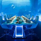 Sublimotion, Ibiza  Dieses Restaurant zählt wirklich zum teuersten Restaurant der Welt, denn für ein 20-Gänge-Menü muss man 1500 Euro hinlegen. Kein Schnäppchen. Der Sternekoch Paco Roncero verbindet Essen, Kunst und Technologie. 