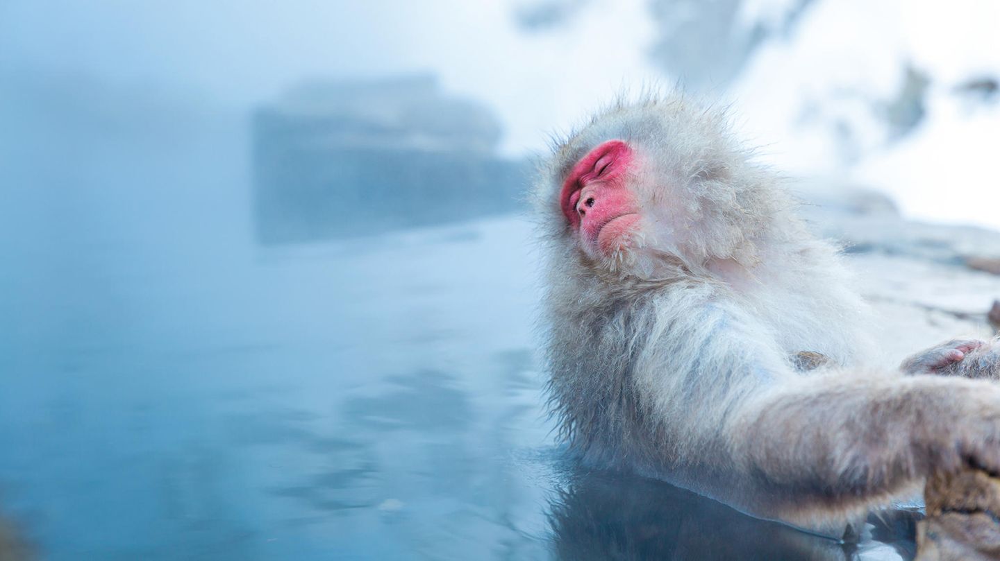 Jigokudani-Onsen Jigokudani-Onsen