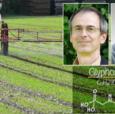 Horst-Henning Steinmann und Christoph Schäfers äußern sich zu Glyphosat