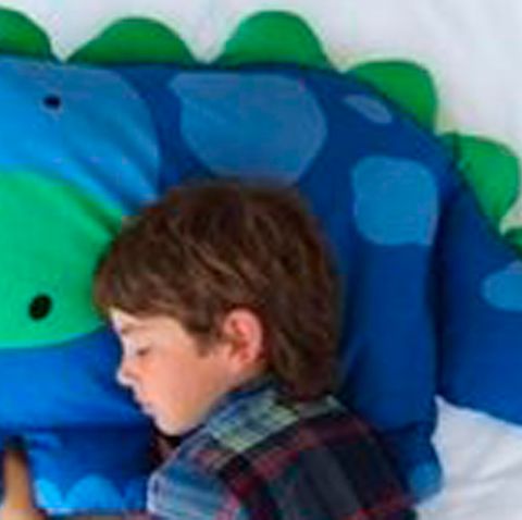 Absurde Abzock-Masche: Amazon-Fail: Da will man ein Dino-Kissen kaufen - und dann kommt das