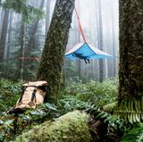 Die Firma Tensile stellt fliegende Zelte für das Leben im Wald her .