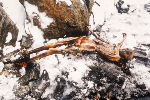 Fakten über berühmte Gletschermumie: Wie starb Ötzi nun eigentlich?