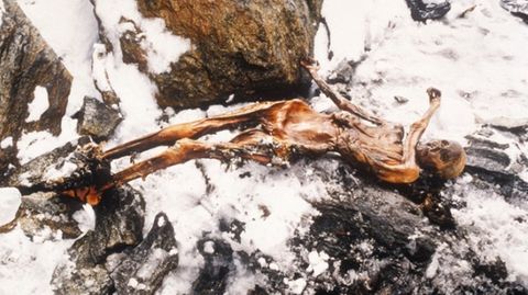 Mageninhalt analysiert: Forscher verraten, was Ötzis letzte Mahlzeit war