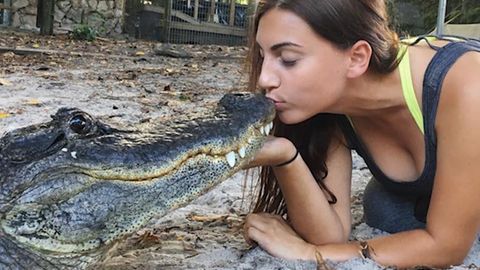 Alligatoren in Floridas Nationalpark: Nervenkitzel in den Everglades