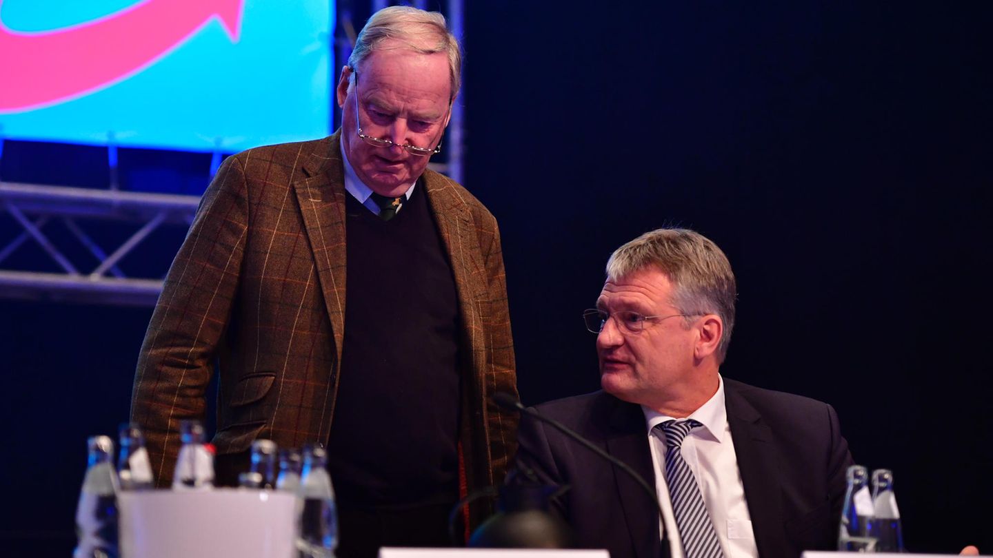 Parteitag in Hannover: Alexander Gauland verzichtet offenbar auf AfD-Vorsitz