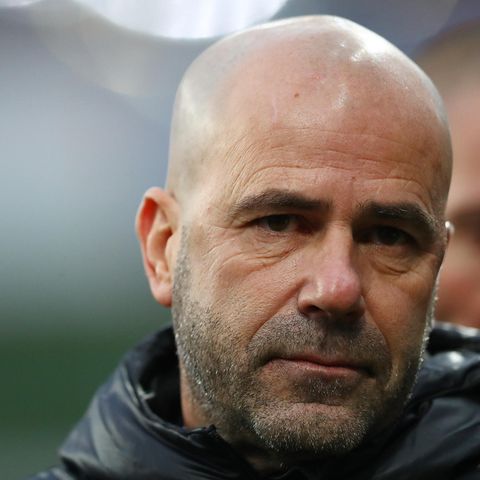 Peter Bosz steht beim BVB im Fokus