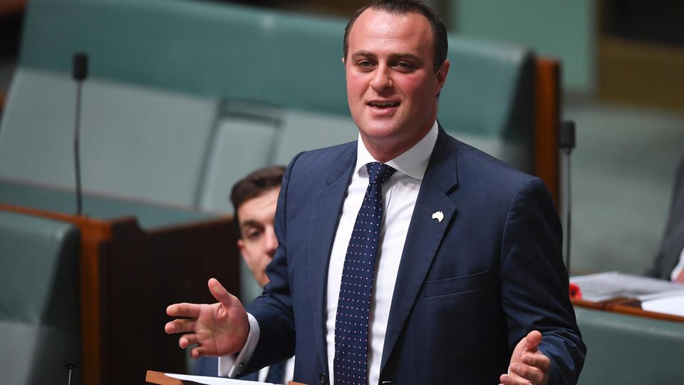 Australischer Abgeordneter macht Heiratsantrag im Parlament Der australischer Abgeordneter Tim Wilson macht Heiratsantrag im Parlament
