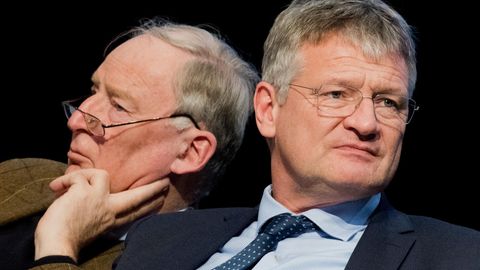 Die neuen AfD-Bundesvorsitzenden Alxeander Gauland und Jörg Meuthen beim Bundesparteitag in Hannover