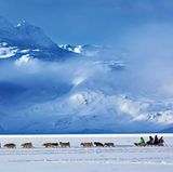 Ein Hundeschlittengespann auf seinem Weg nach Tasiilaq im Osten Grönlands