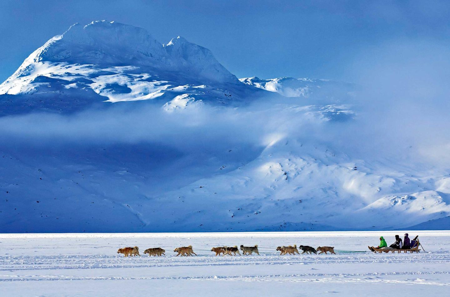 Ein Hundeschlittengespann auf seinem Weg nach Tasiilaq im Osten Grönlands