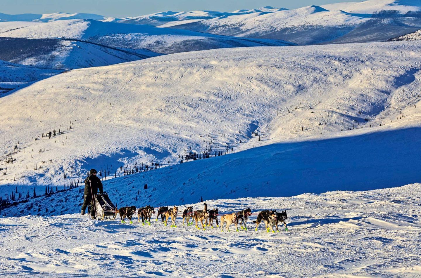 Im Bann des Nordens: Beim legendären Yukon Quest in Alaska, dem härtesten Hundeschlittenrennen der Welt: Matt Hall, einer der großen Favoriten des Rennens und Lokalmatador, auf dem Weg zum Eagle Summit. Der Sohn des bekannten Mushers Wayne Hall wird in diesem Rennen als Vierter ins Ziel kommen. Beim legendären Yukon Quest in Alaska, dem härtesten Hundeschlittenrennen der Welt: Matt Hall, einer der großen Favoriten des Rennens und Lokalmatador, auf dem Weg zum Eagle Summit. Der Sohn des bekannten Mushers Wayne Hall wird in diesem Rennen als Vierter ins Ziel kommen.