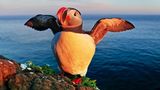 Die berühmtesten Vögel an der Steilküste Islands sind Papageitaucher, die hier fast keine Scheu zeigen. Wenn man sich ihnen langsam nähert, sind sogar ganz besondere Aufnahmen mit einem Weitwinkelobjektiv möglich.
