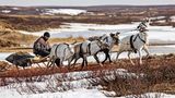 Die Nenzen sind Rentiernomanden. Knapp 41.000 dieser Ureinwohner siedeln heute im europäischen Teil Russlands und im Nordwesten Sibiriens. Sie nutzen den Schlitten als Transportmittel, und dies selbst im Sommer, wenn aller Schnee geschmolzen ist.