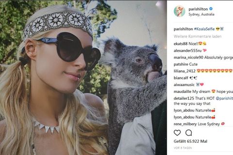 Instagram blockiert Selfies mit Wildtieren