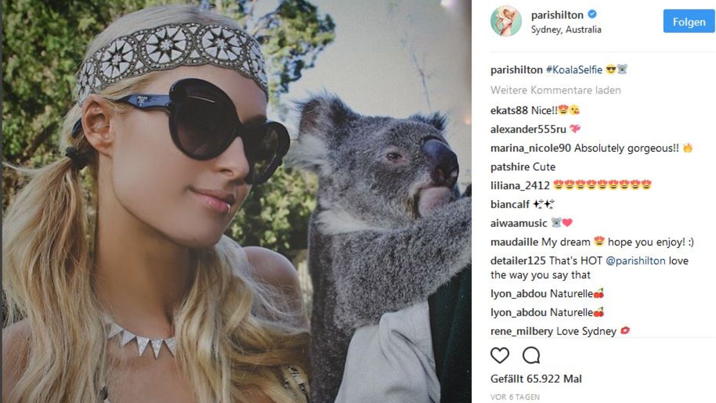 Instagram blockiert Selfies mit Wildtieren
