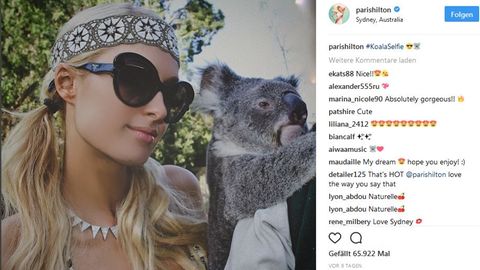 Instagram blockiert Selfies mit Wildtieren
