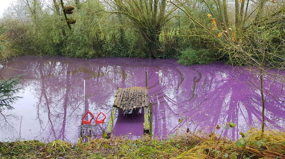 nachrichten deutschland - teich elmshorn