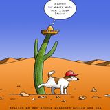 Humor 2017: Die besten Trump-Cartoons des Jahres