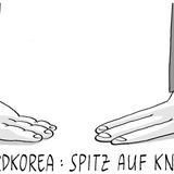 Humor 2017: Die besten Trump-Cartoons des Jahres