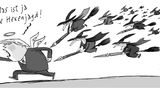 Humor 2017: Die besten Trump-Cartoons des Jahres