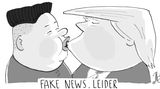 Humor 2017: Die besten Trump-Cartoons des Jahres