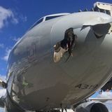 Kommt ein Vogel geflogen  November 2017: Auch dieser Vorfall ist exemplarisch: für das Phänomen Vogelschlag. Derartige Kollisionen verlaufen für die Tiere stets tödlich, die Schäden an den Flugzeugen sind unterschiedlich heftig. In diesem Fall eines Airbus im Landeanflug auf Miami krachte eine Gans gegen den Bug der Maschine, zerfetzte die Radarnase und flog als blinder Passagier mit. Der Ausgang der Geschichte lesen Sie hier.