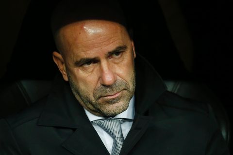 BVB in der Champions League