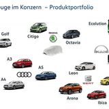 Das VW CNG-Modellportolio ist umfangreich - im nächsten Jahr kommt ein CNG-Skoda auf den Markt