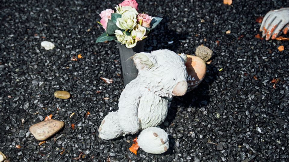 Prozessbeginn in Duisburg: Der Koalabär erinnert an Clancie, ein Todesopfer aus Australien Der Koalabär erinnert an Clancie, ein Todesopfer aus Australien