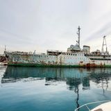 Die "Galeb", die "Möwe", so lautet der Name dieses Schiffes, das einst die Staatsjacht des jugoslawischen Machthabers Josip Broz Tito war. Der Kommunist war von 1953 bis 1980 der Staatspräsident des Balkanlandes.