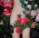 Der nackte Unterleib einer Frau zwischen Blumen