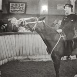 "Große Freiheit Nr. 7"