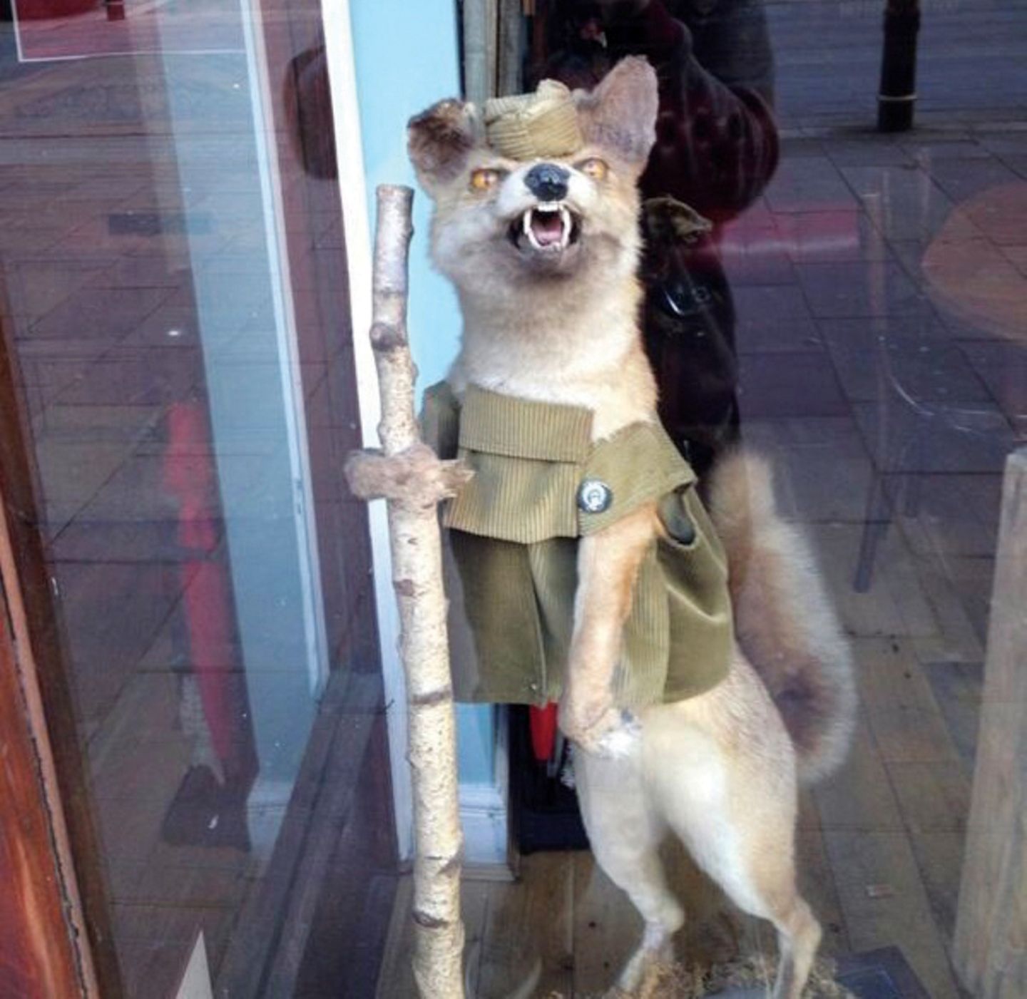 Ein ausgestopfter Fuchs mit militärisch anmutender Uniform und einem Stock