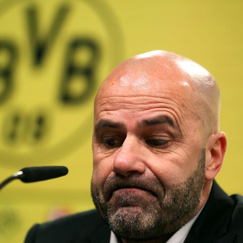BVB-Trainer Peter Bosz