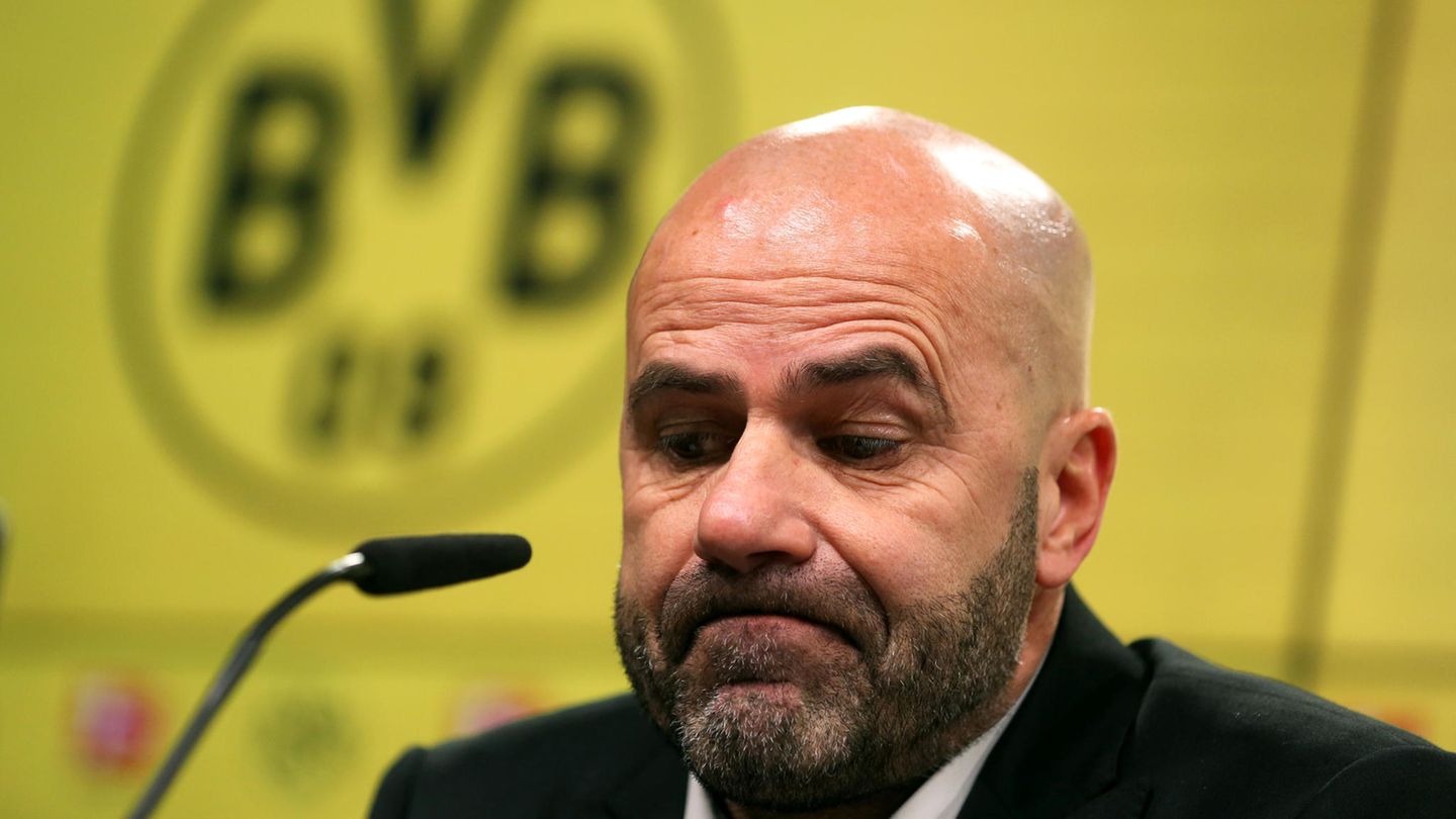 BVB-Trainer Peter Bosz