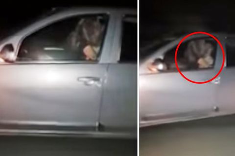 Argentinien: Pärchen treibt es bei 110 km/h auf Autobahn