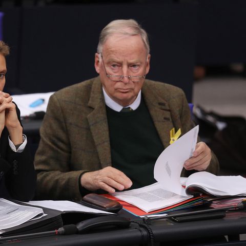AfD Alice Weidel Alexander Gauland