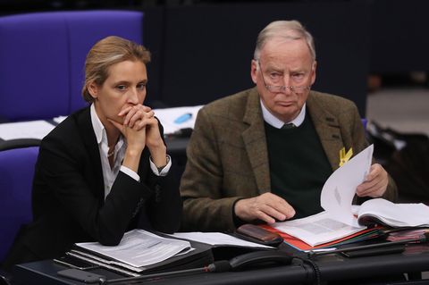 AfD Alice Weidel Alexander Gauland
