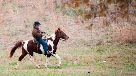 Es wirkt kurios, ist für Republikaner Roy Moore aber durchaus normal: Hoch zu Ross kam er zum Wahllokal in Alabama