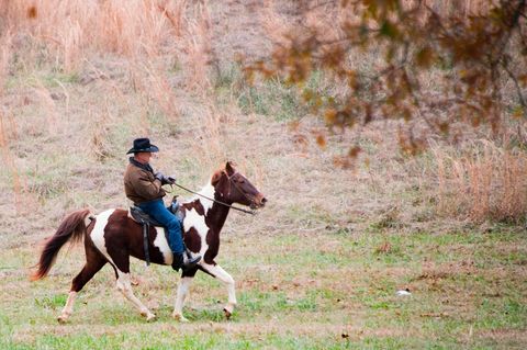 Es wirkt kurios, ist für Republikaner Roy Moore aber durchaus normal: Hoch zu Ross kam er zum Wahllokal in Alabama