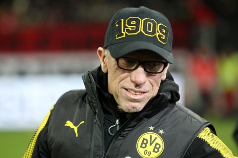 Der neue BVB-Trainer Peter Stöger