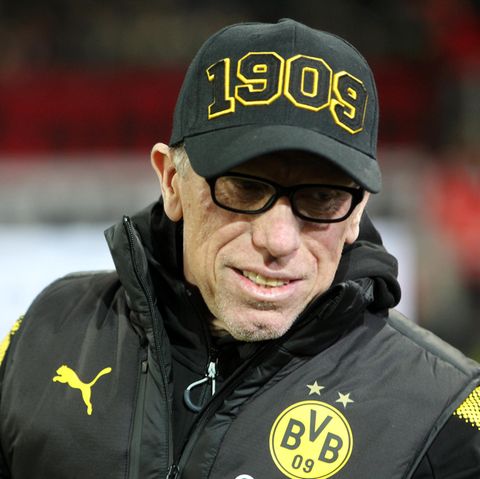 Der neue BVB-Trainer Peter Stöger